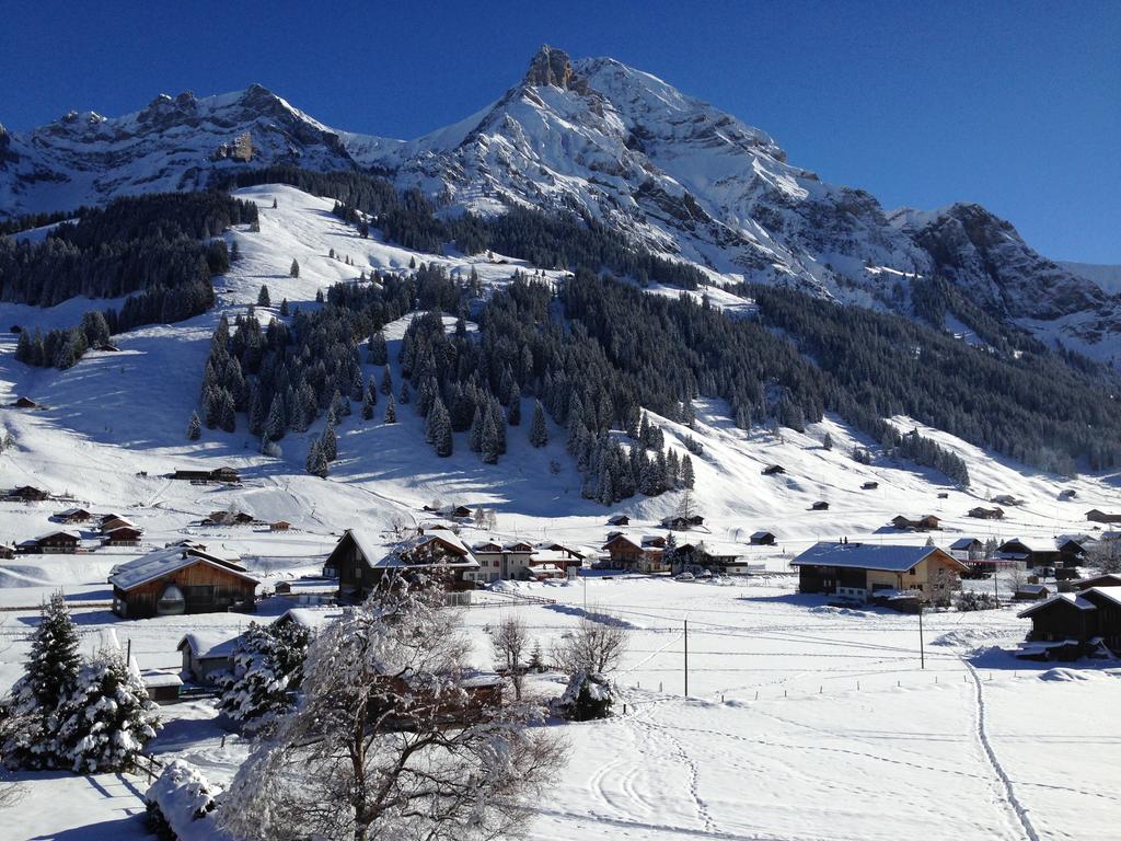 Chalet Butterfly Adelboden Room photo
